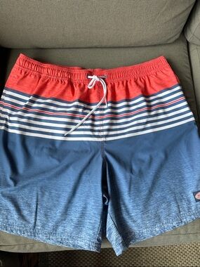 Vineyard Vines Blue Striped swim Shorts
